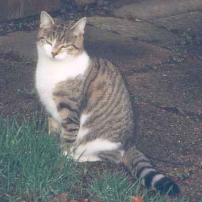 Photo J1; Jenny in the garden