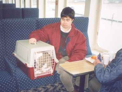 Photo JPF1; Jenny and Penny in their big travel box